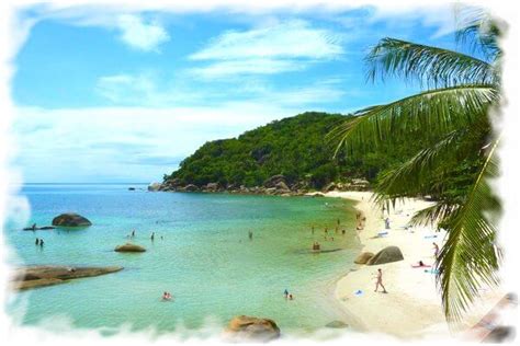 livecam koh samui|the real samui webcam live.